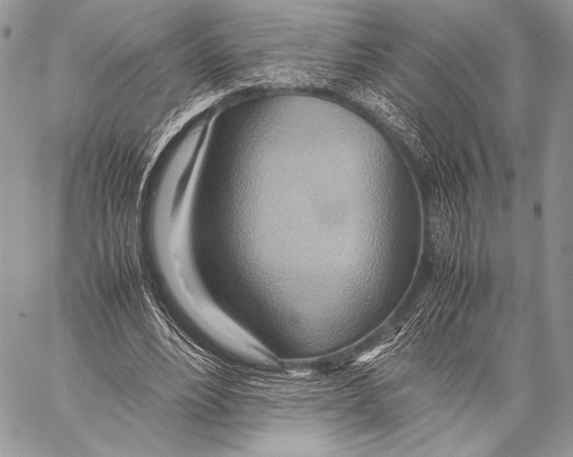 X0000057580488200510171711