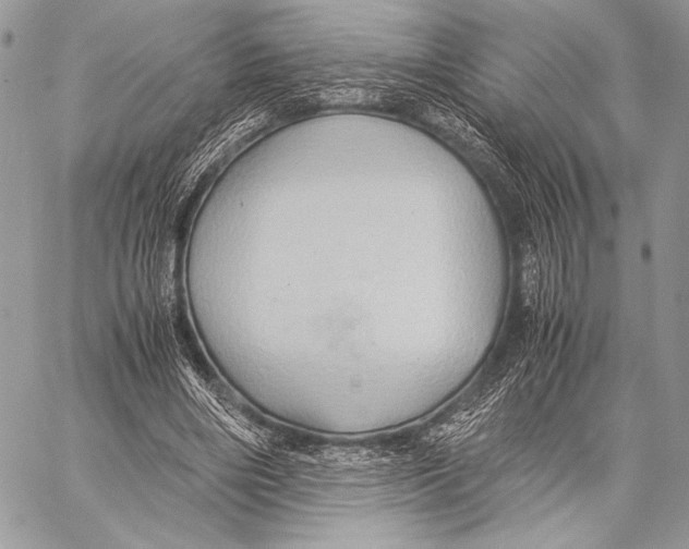 X0000057580490200510171711