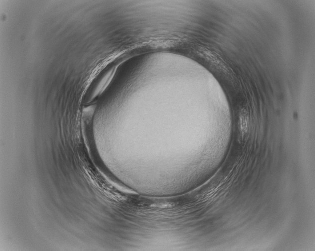 X0000057580492200510171711