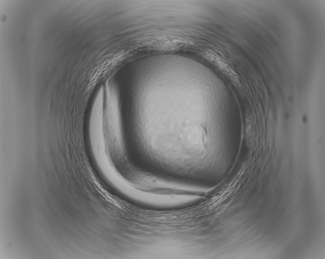 X0000057580493200510171711