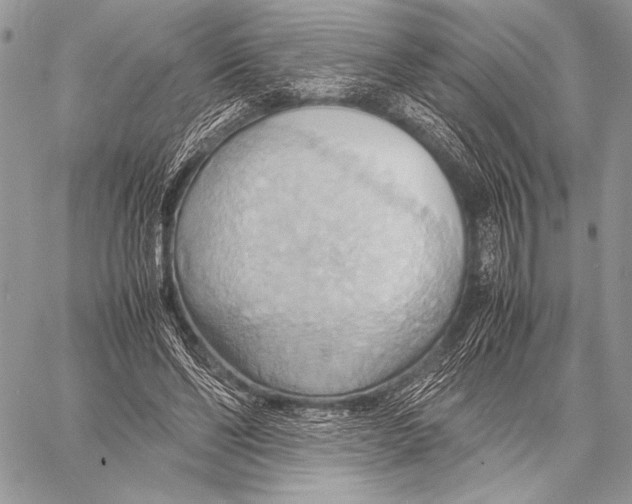 X0000057580494200510171711