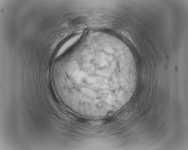 X0000057580495200510171711