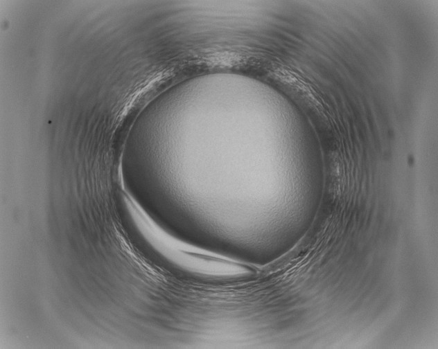 X0000057580496200510171711