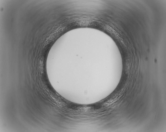 X0000057580497200510171711