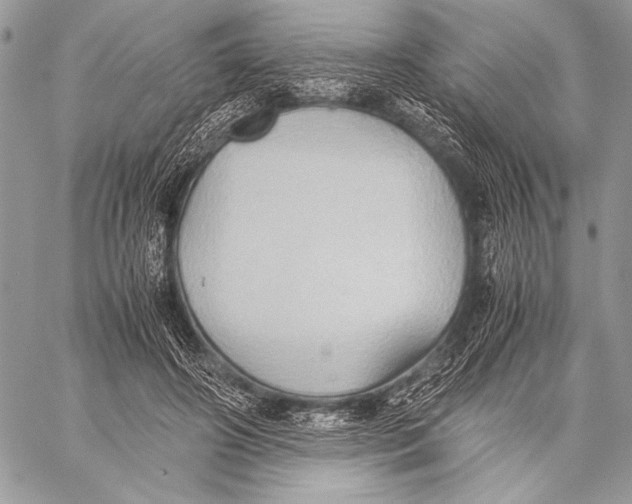 X0000057580498200510171711