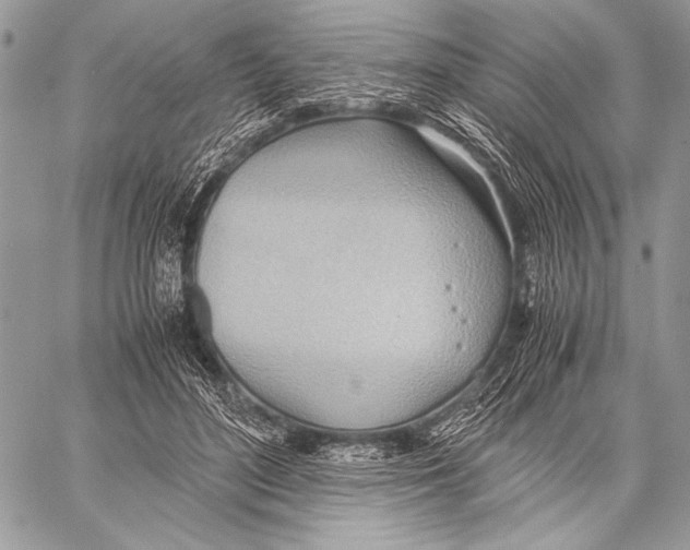 X0000057580500200510171711