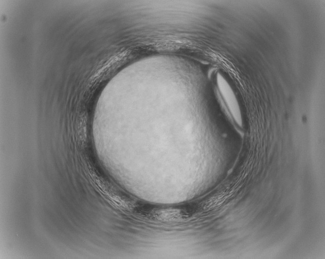 X0000057580501200510171711