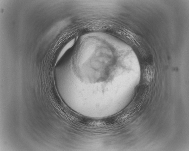 X0000057580503200510171711