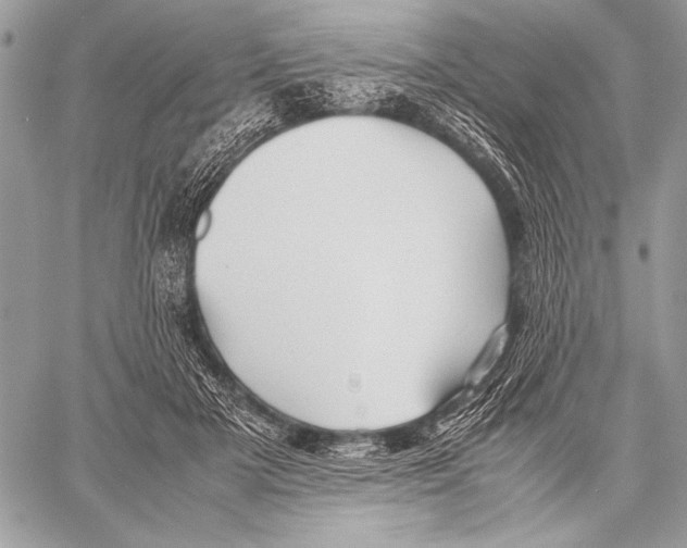 X0000057580505200510171711