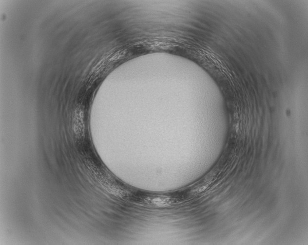 X0000057580506200510171711