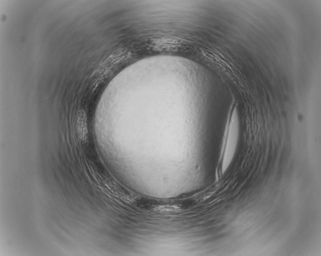 X0000057580508200510171711