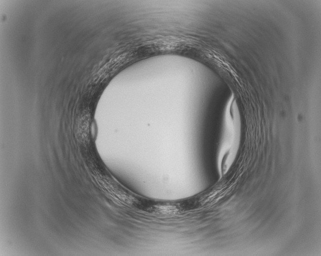 X0000057580509200510171711