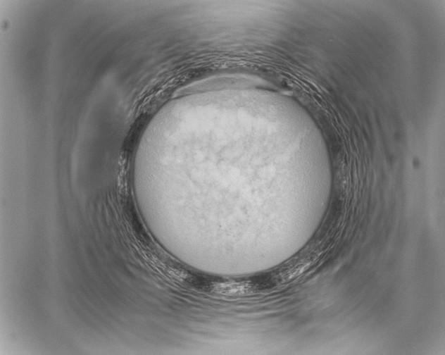 X0000057580511200510171711