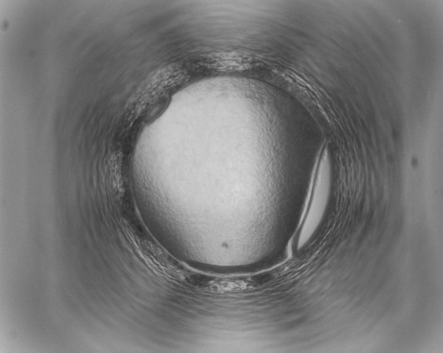 X0000057580512200510171711