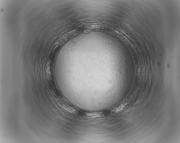 X0000057580516200510171711