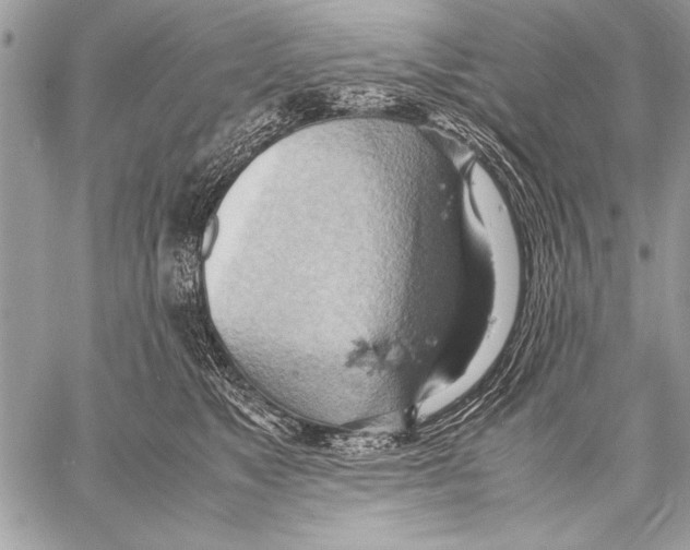 X0000057580517200510171711