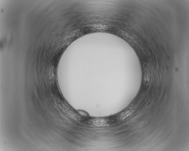 X0000057580518200510171711