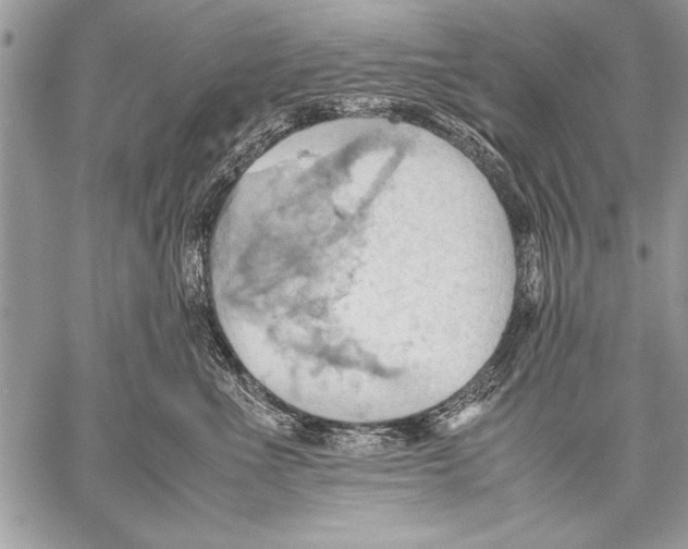 X0000057580523200510171711