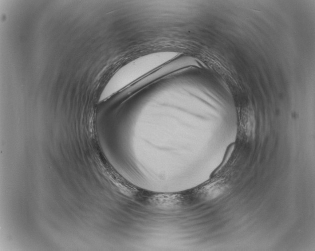 X0000057580526200510171711