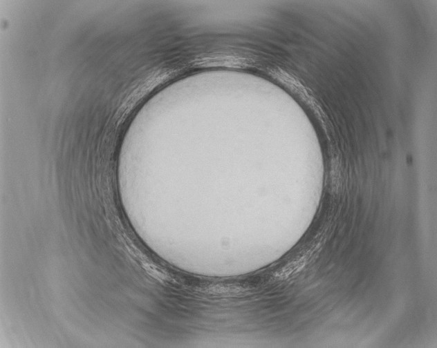 X0000057580529200510171710