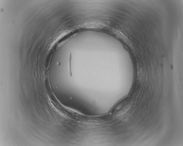 X0000057580530200510171710