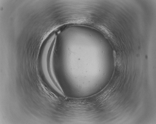 X0000057580532200510171710