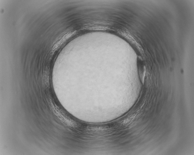 X0000057580533200510171710