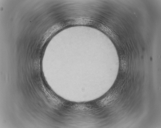 X0000057580534200510171710