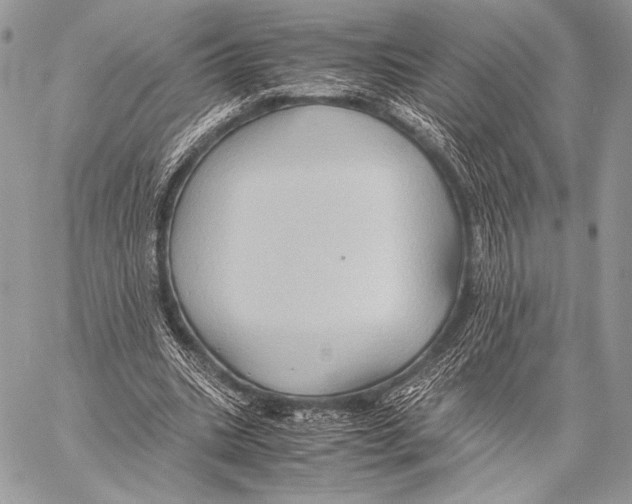 X0000057580535200510171710