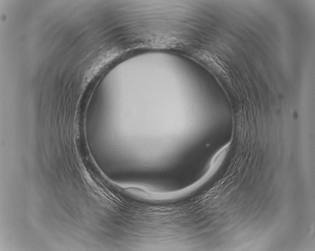 X0000057580536200510171710