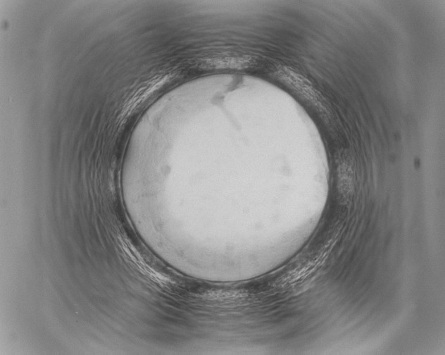 X0000057580537200510171710