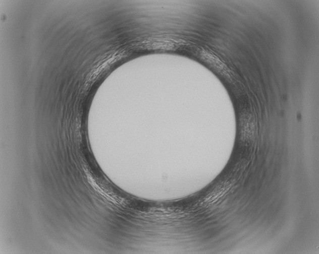 X0000057580538200510171710