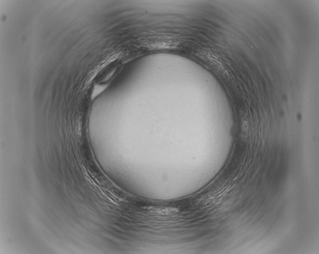 X0000057580539200510171710