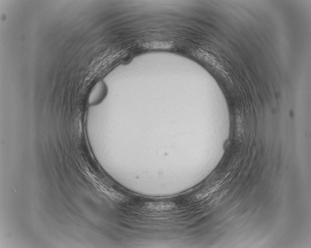 X0000057580541200510171710