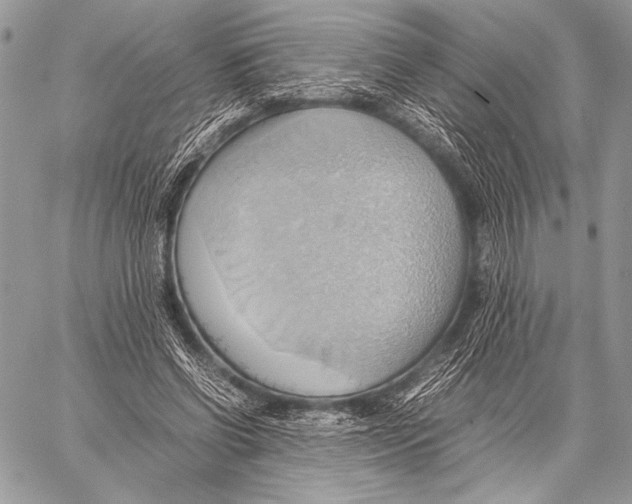 X0000057580542200510171710