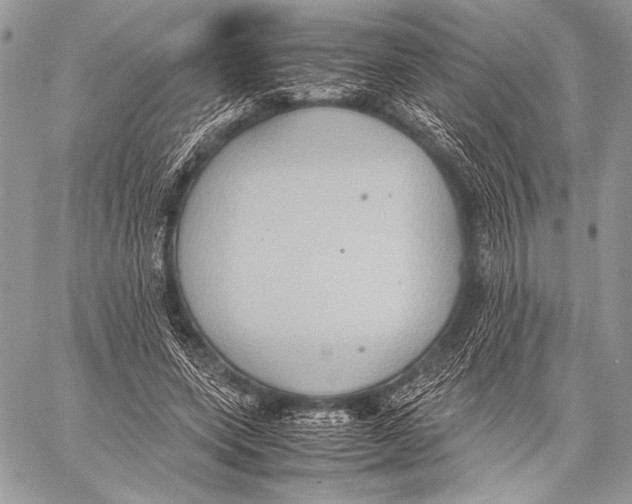 X0000057580543200510171710