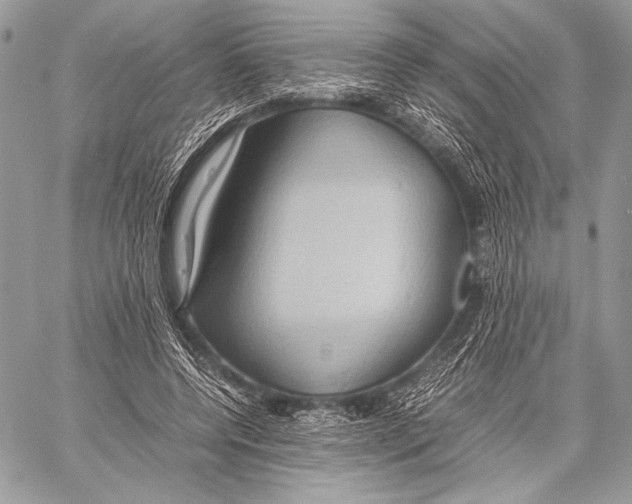 X0000057580544200510171710