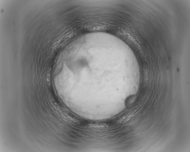 X0000057580545200510171710