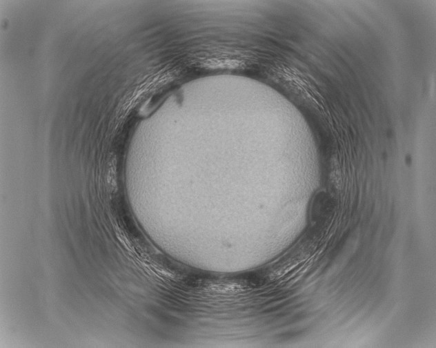 X0000057580547200510171710