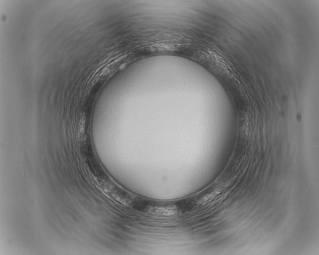 X0000057580548200510171710