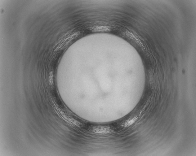 X0000057580549200510171710