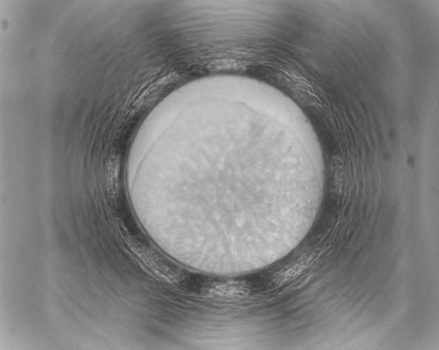 X0000057580550200510171710