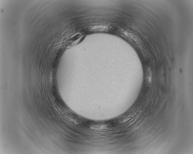 X0000057580551200510171710