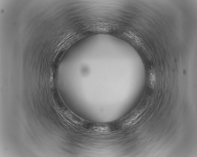 X0000057580552200510171710