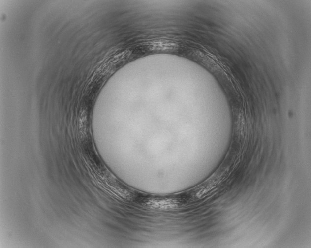 X0000057580557200510171710