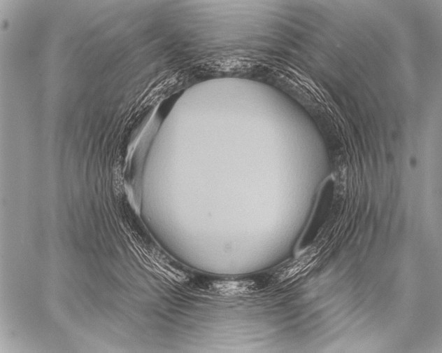 X0000057580558200510171710