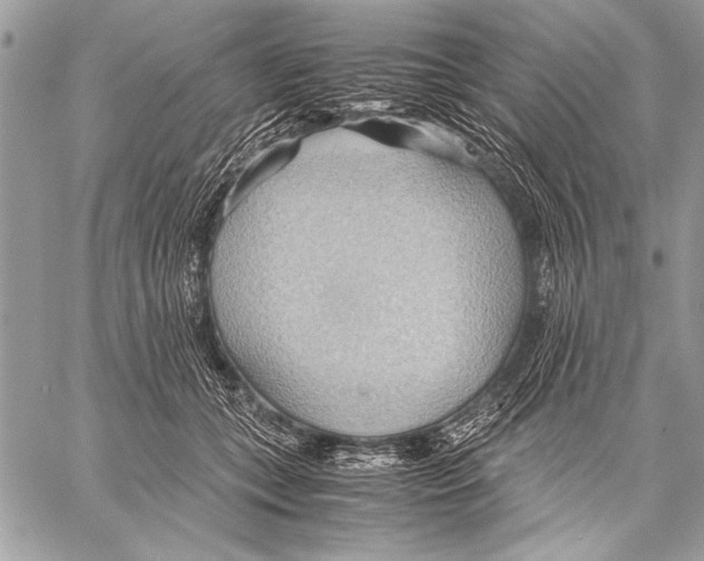 X0000057580559200510171710