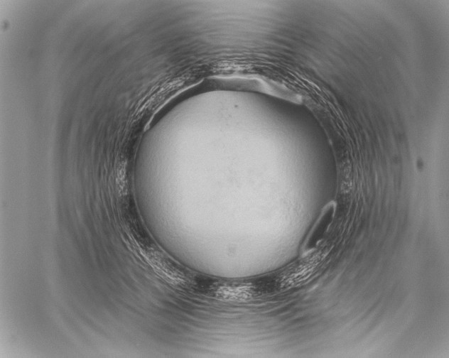 X0000057580560200510171710