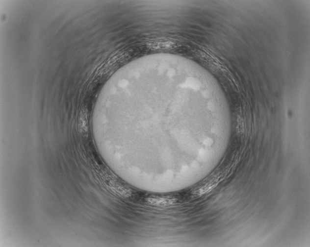 X0000057580561200510171710