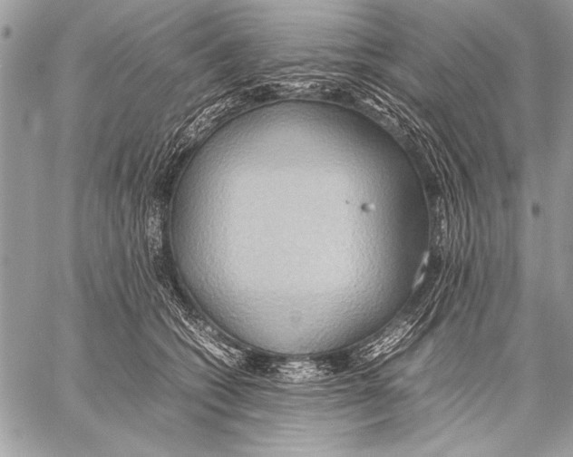 X0000057580562200510171710